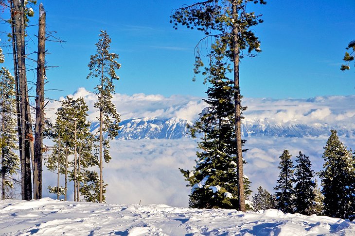 Skiing Kimberley Alpine Resort in British Columbia, Canada