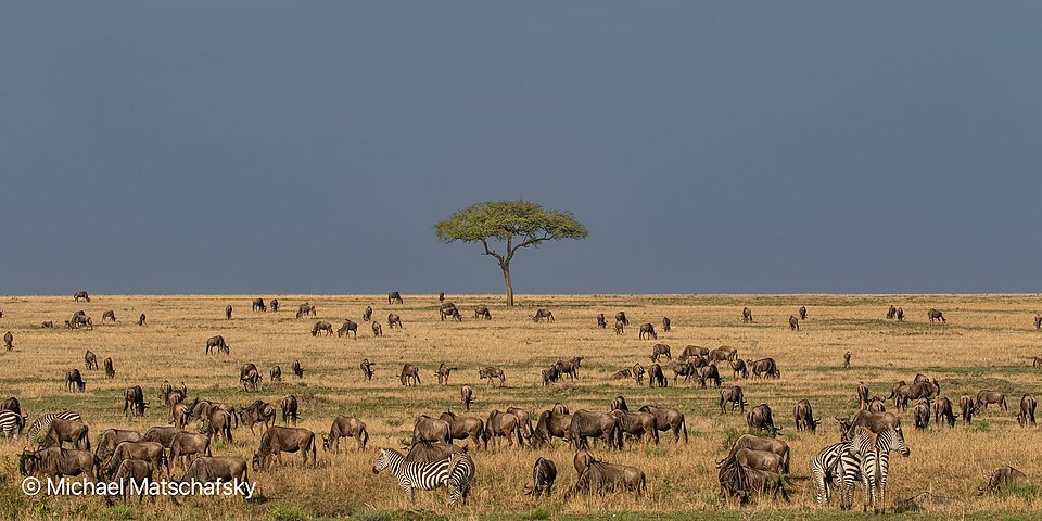 Africa travel guides