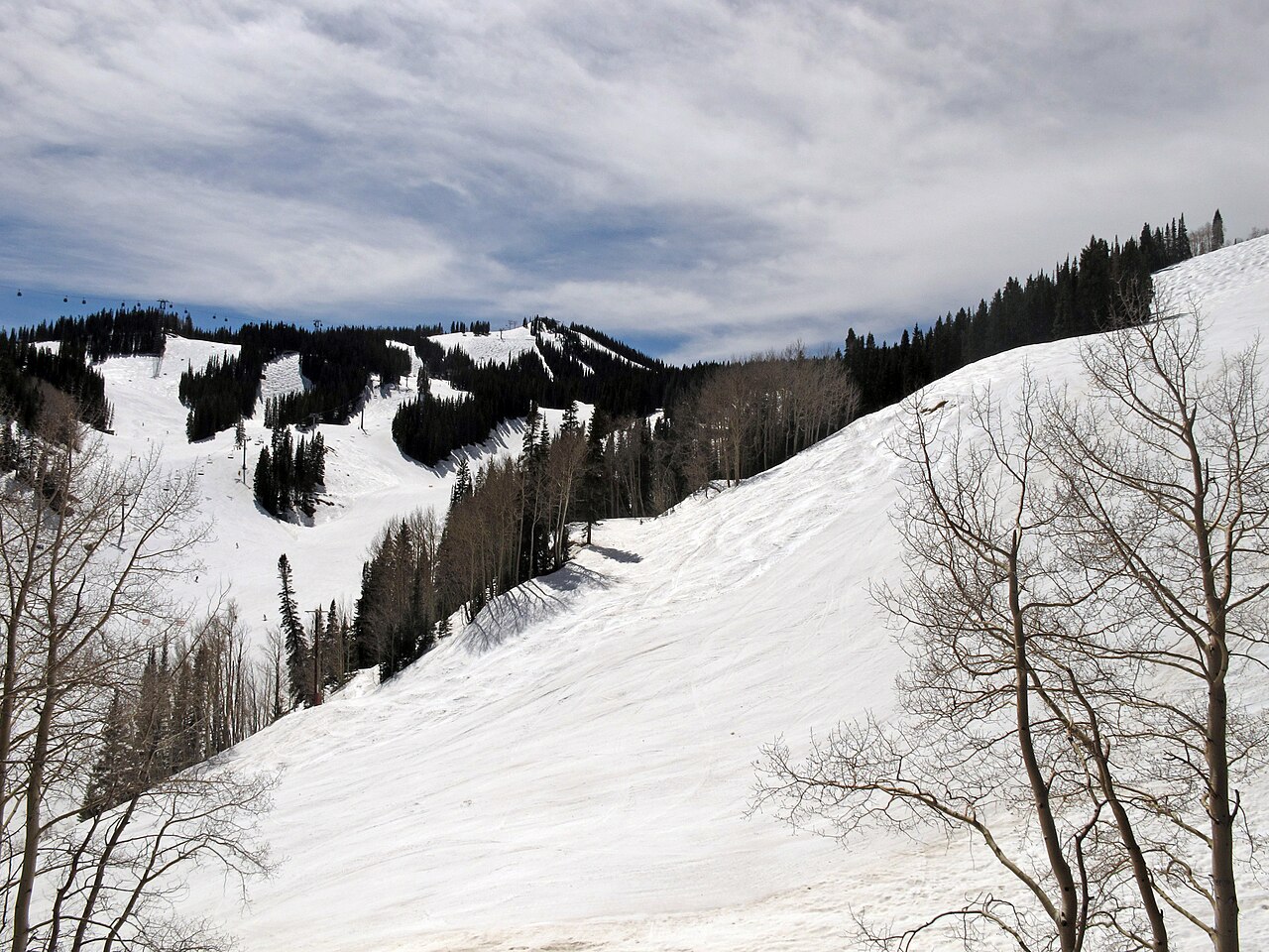 Diverse Terrain and Excellent Tree Skiing