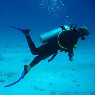 Best Diving Destinations In The World