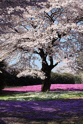 Best Places to Travel in April: 10 Top Destinations