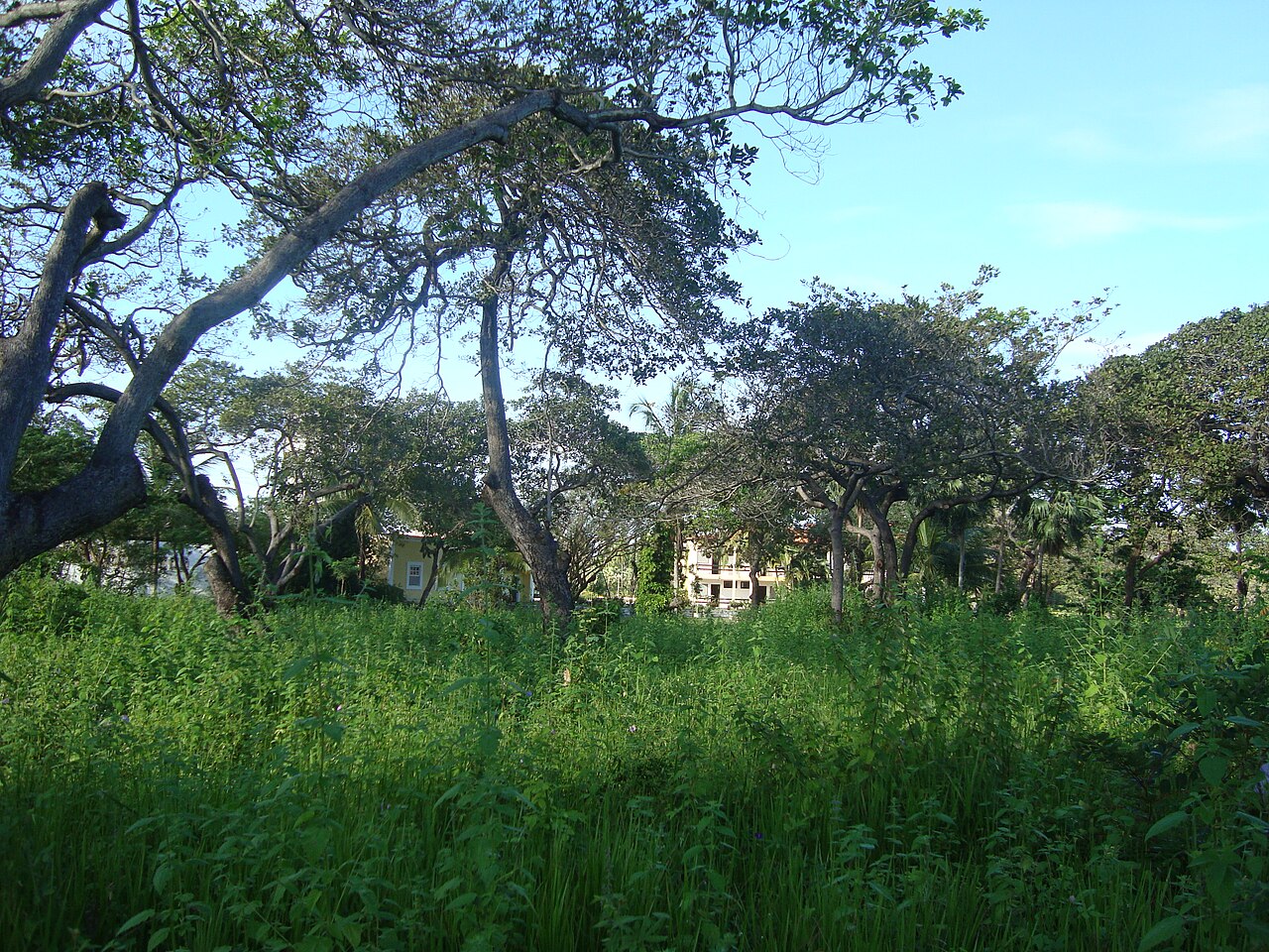 Are there hotels in Jericoacoara?