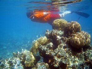 The 10 Best Snorkeling Destinations in the World