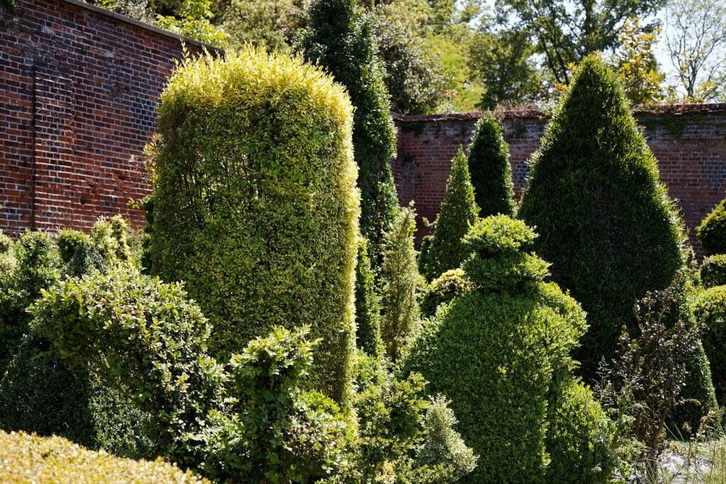 Summer (June–August) - England