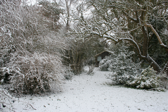 Spring (March–May) in England