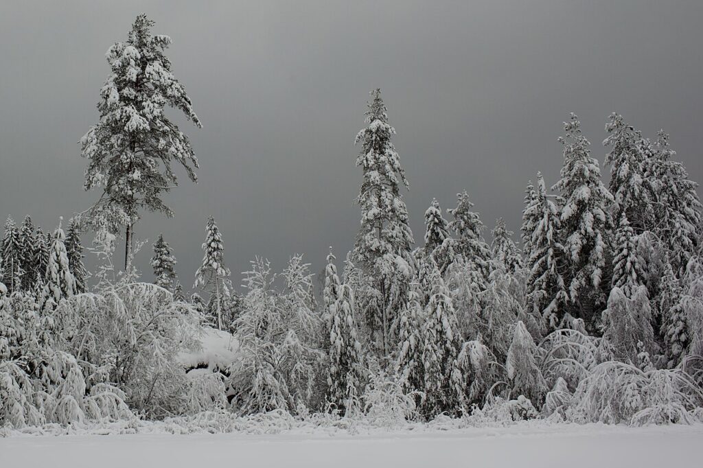 Winter (December–February) in Europe