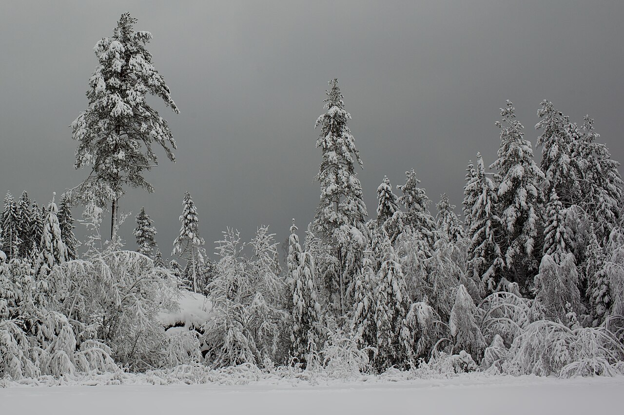 Winter (December–February) in Europe