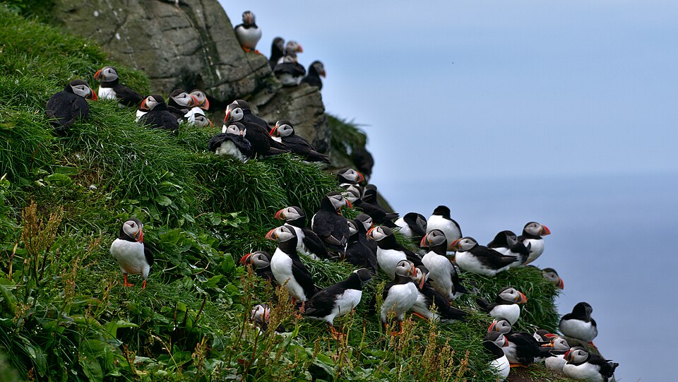 Faroe Islands best time guide