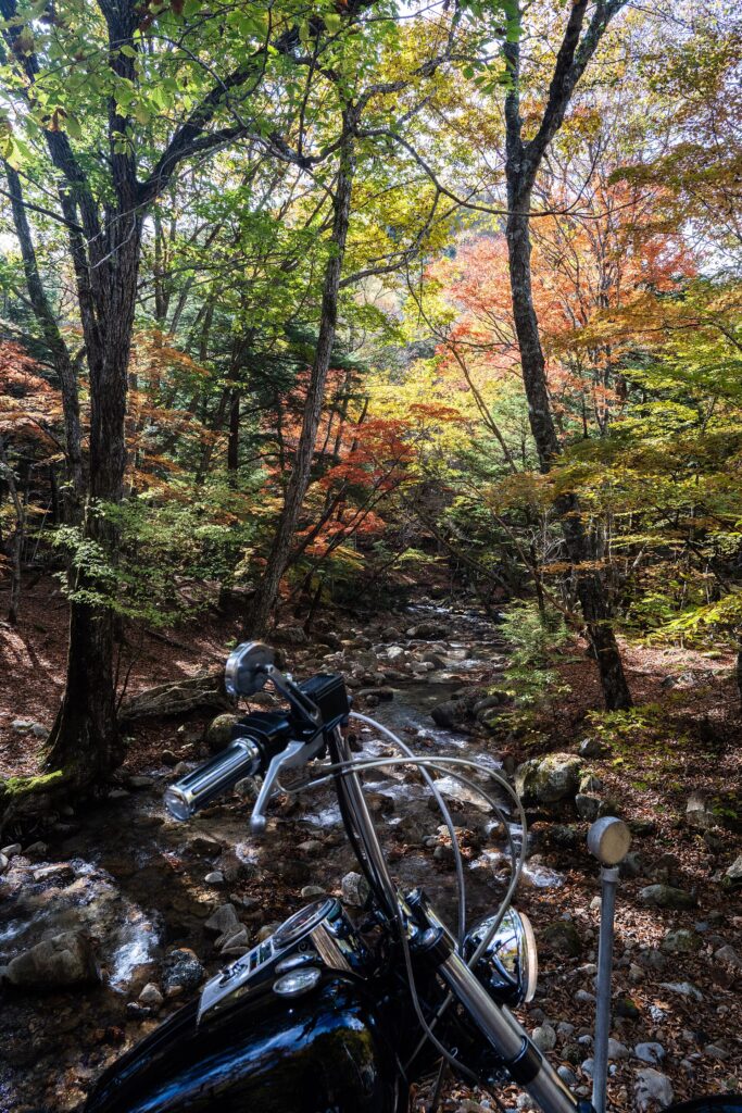Autumn (October–November) - Japan