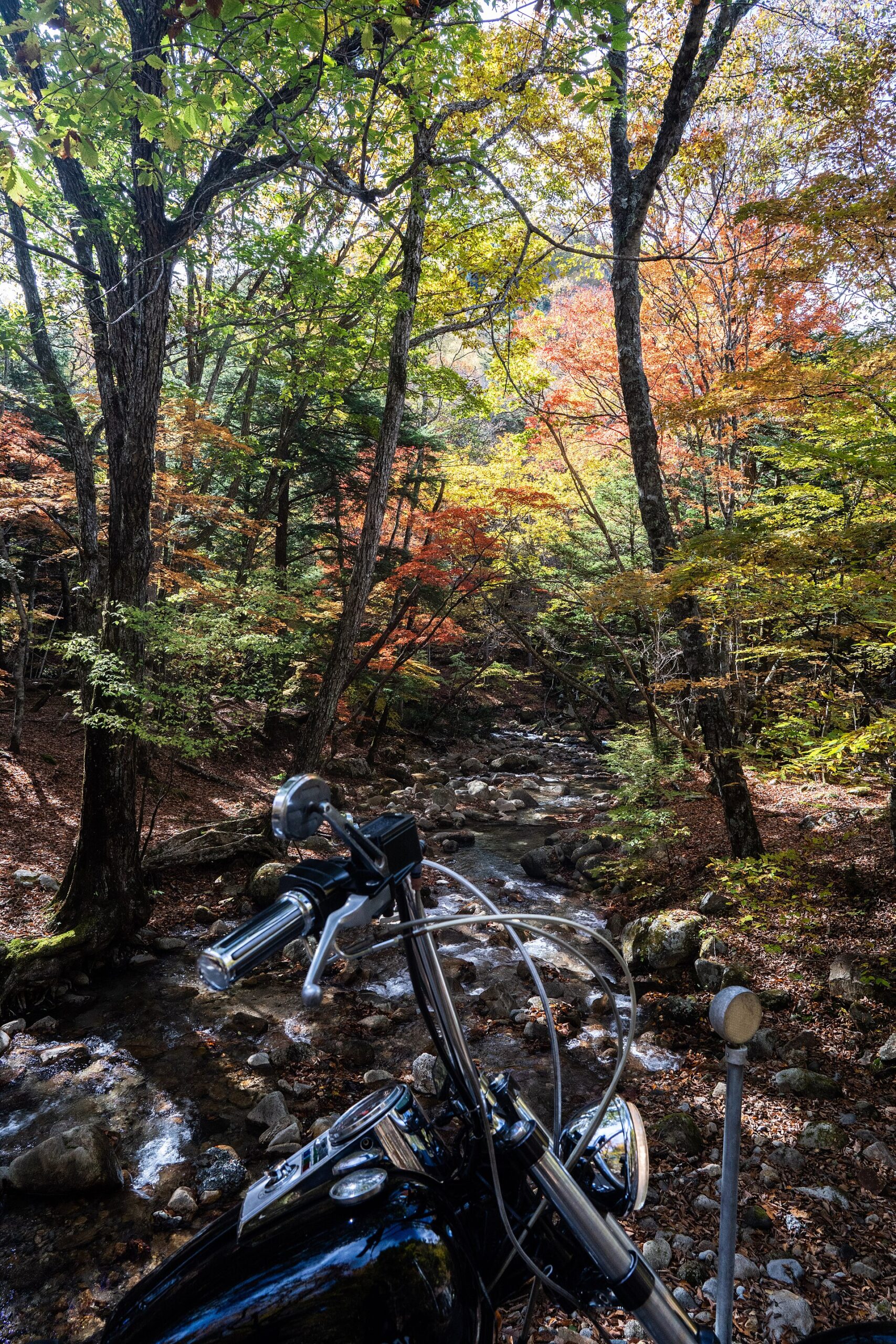 Autumn (October–November) in Japan