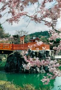 Best Time to Visit Japan in 2026 (Month-by-Month Breakdown)