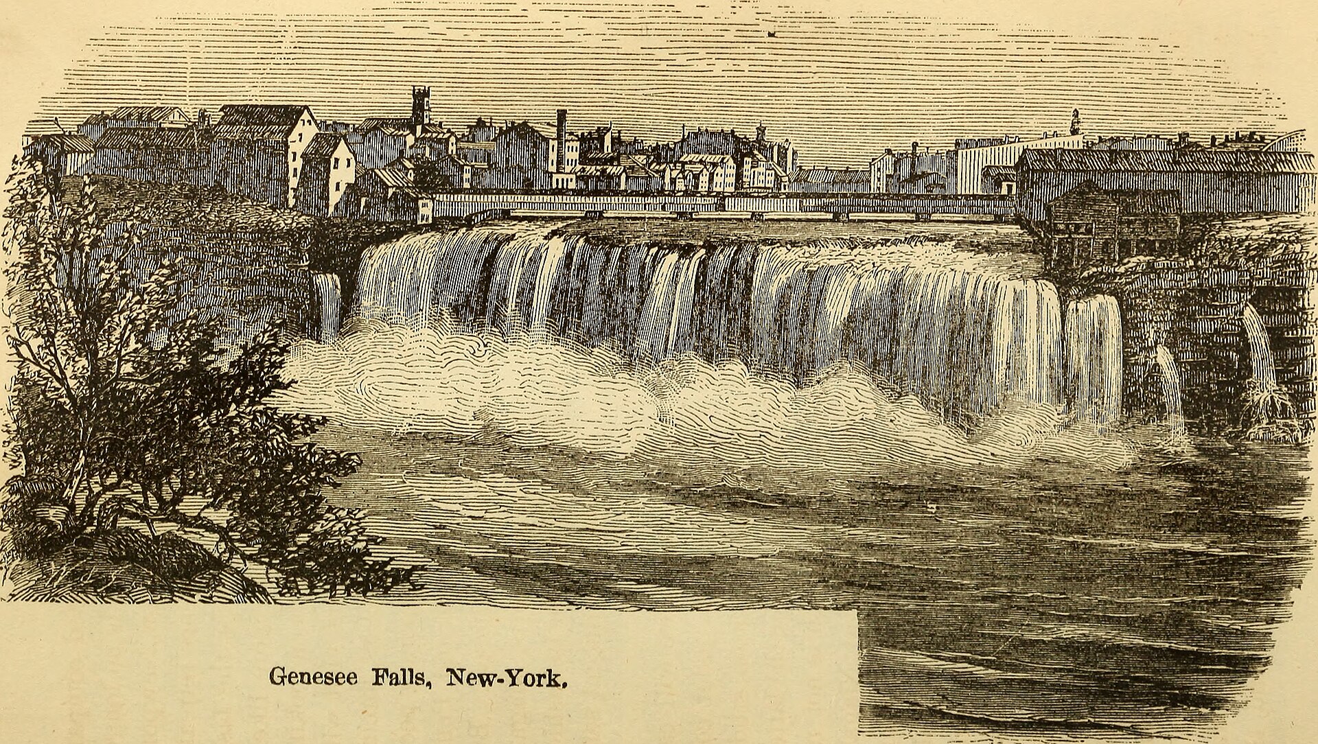 Find & Book Tours in New York in New York