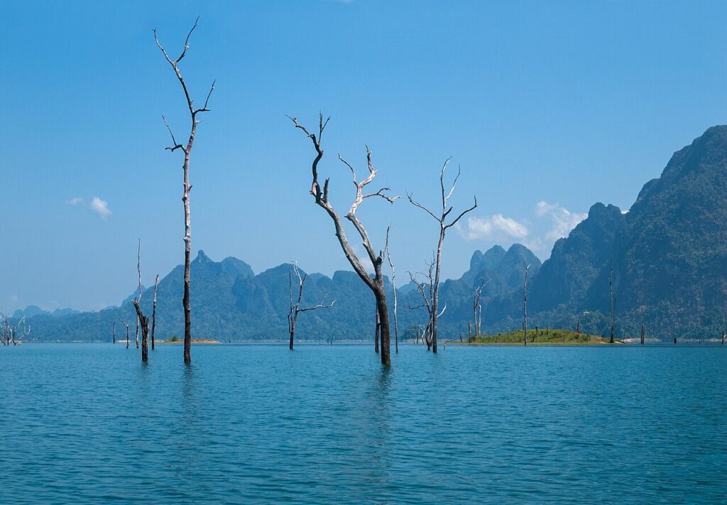 Key Events and Festivals in Thailand