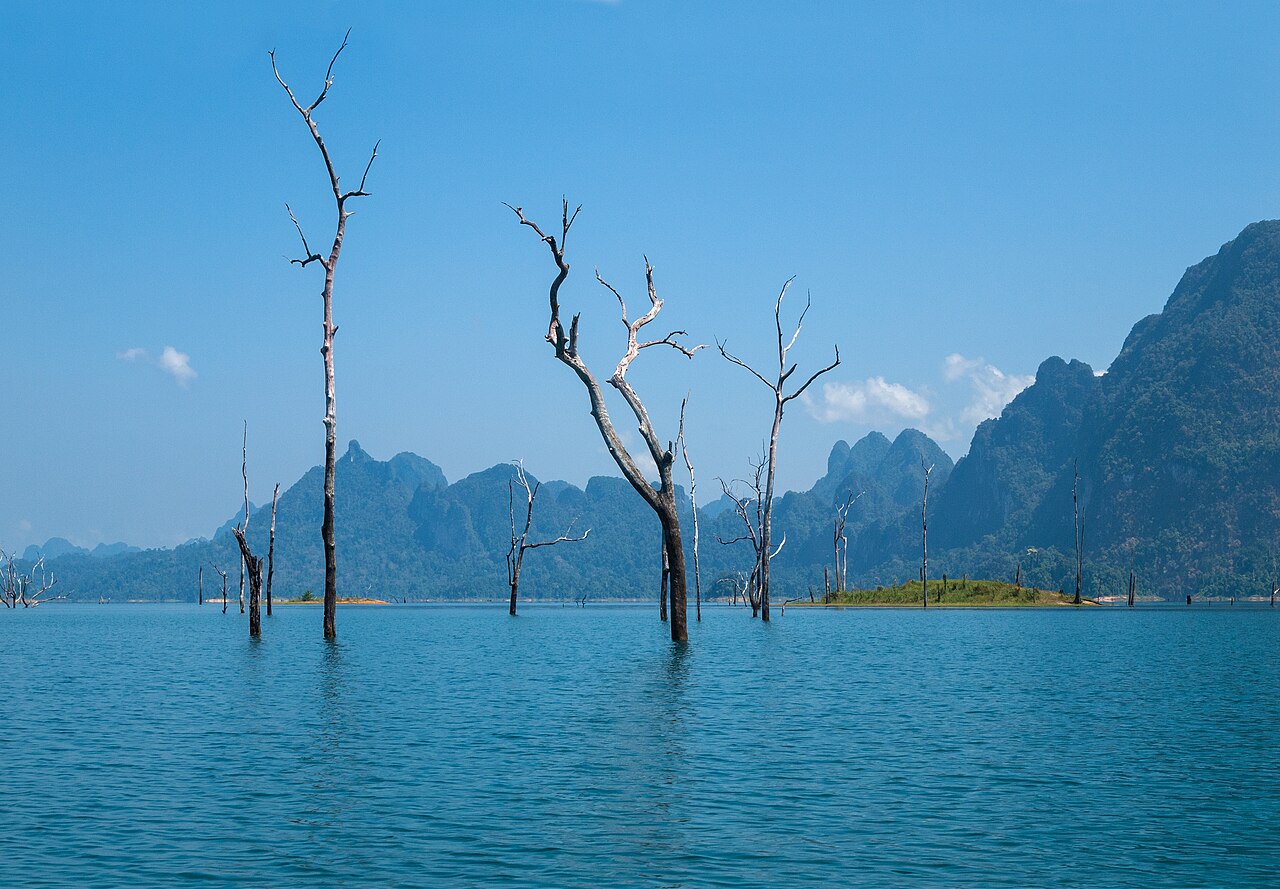 Key Events and Festivals in Thailand