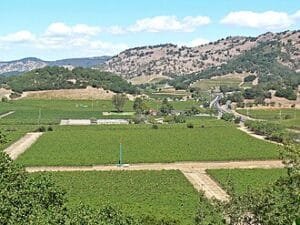 Best Wine Regions in California