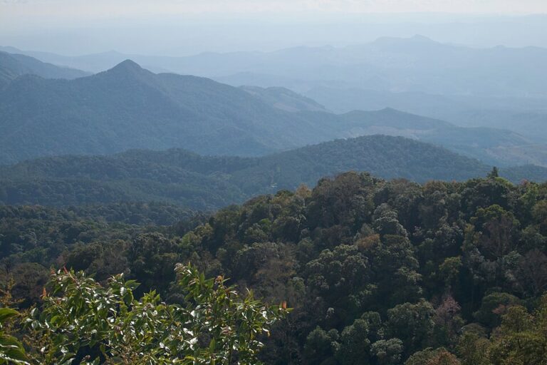 Chiang Mai Itinerary: A 5-Day Sample Plan and How to Build Your Trip