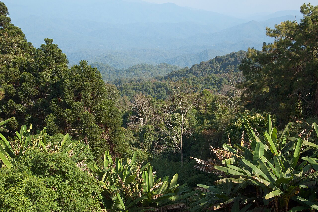 The Areas That Matter in Chiang Mai