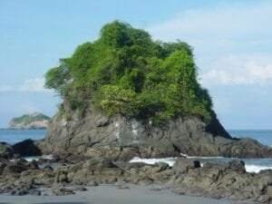 Galapagos vs Costa Rica: Wildlife Travel Pick