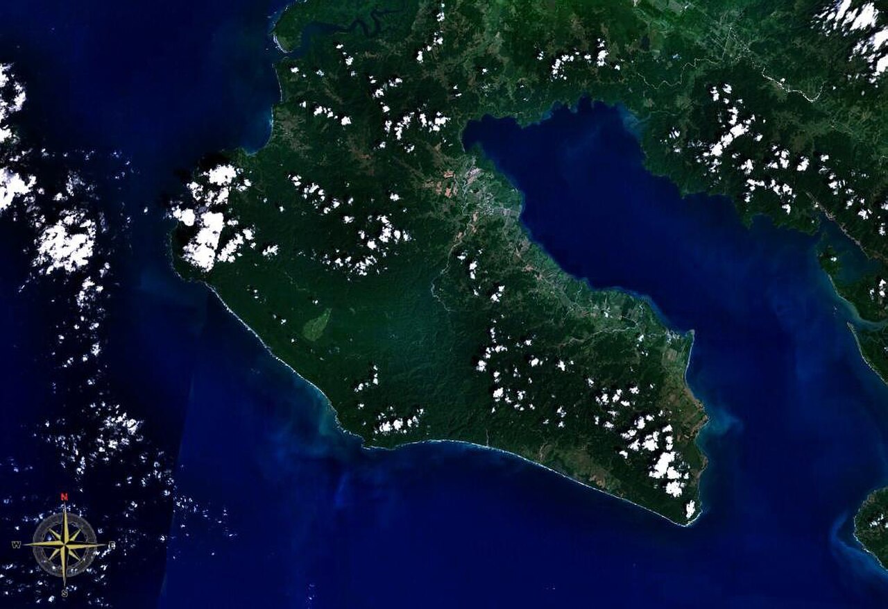 Pristine rainforest of the Osa Peninsula