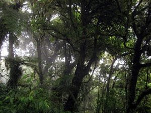 Getting Around Costa Rica: Transport Guide for Visitors