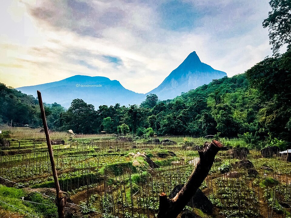 Getting Around Sri Lanka travel guide