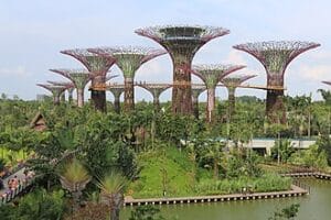 Best Time to Visit Singapore (2026 Local Guide)