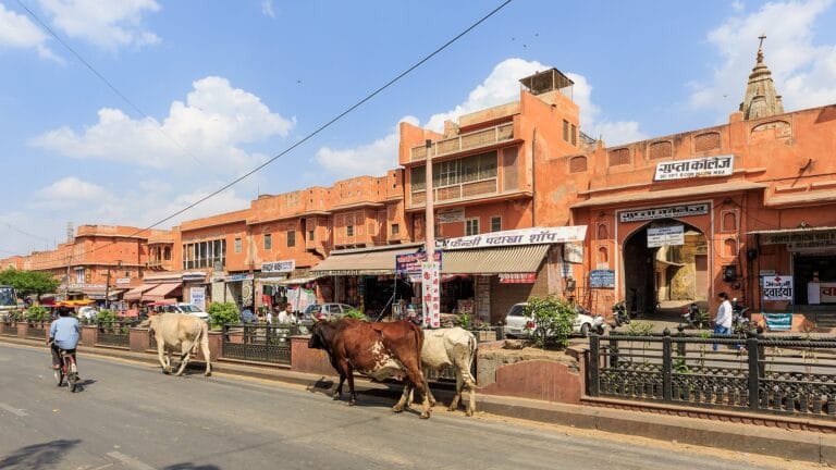 Things to Do in India: 12 Experiences You Can’t Miss