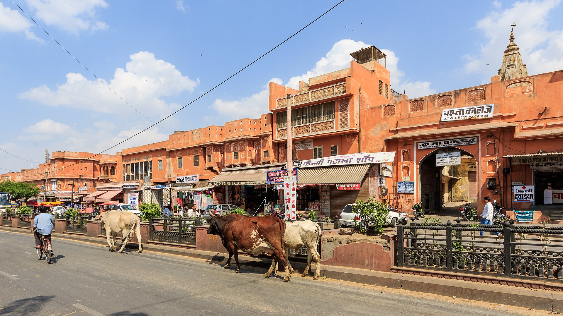 🏰 Jaipur — The Pink City (2–3 Days) in India