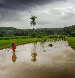 Travel Insurance Complete Guide: What to Buy + Top Providers (2026)