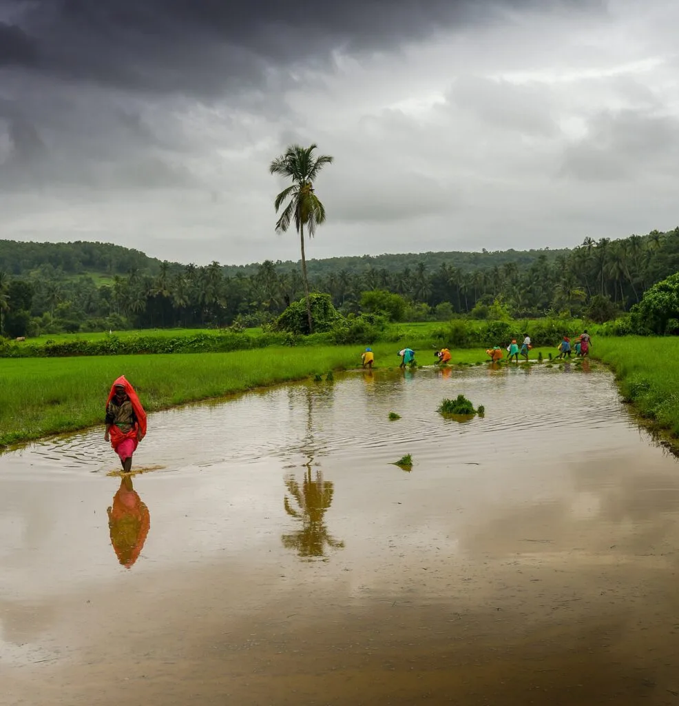 July – September (Monsoon) - India