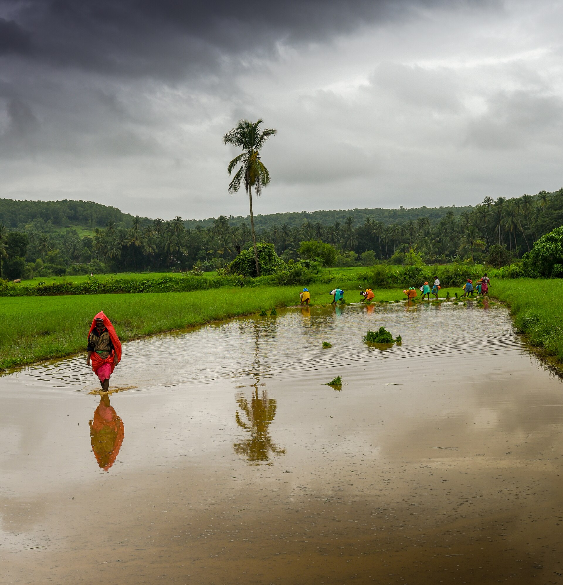 July – September (Monsoon) in India
