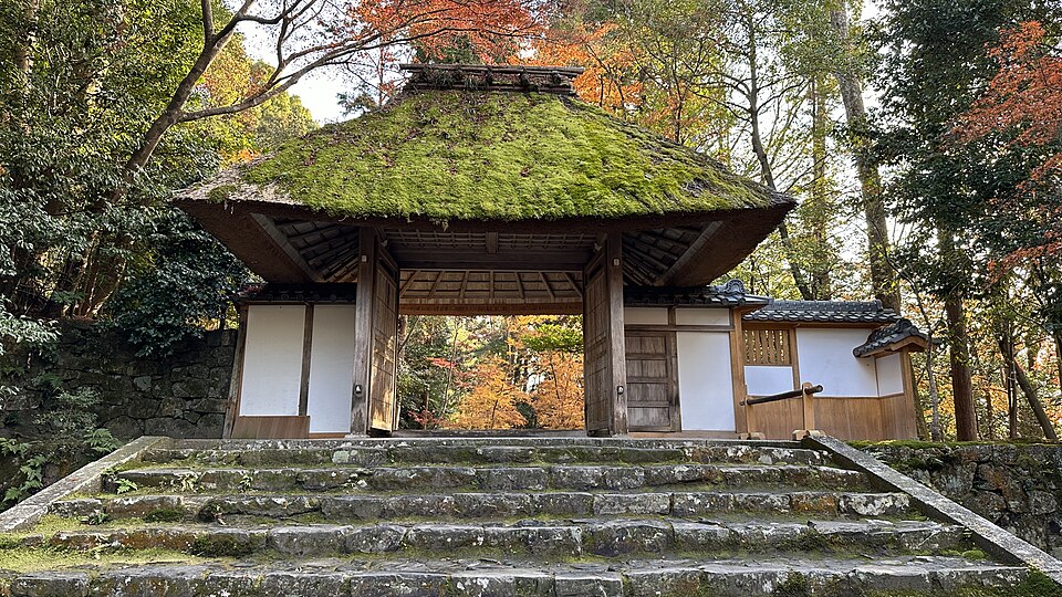 kyoto in november