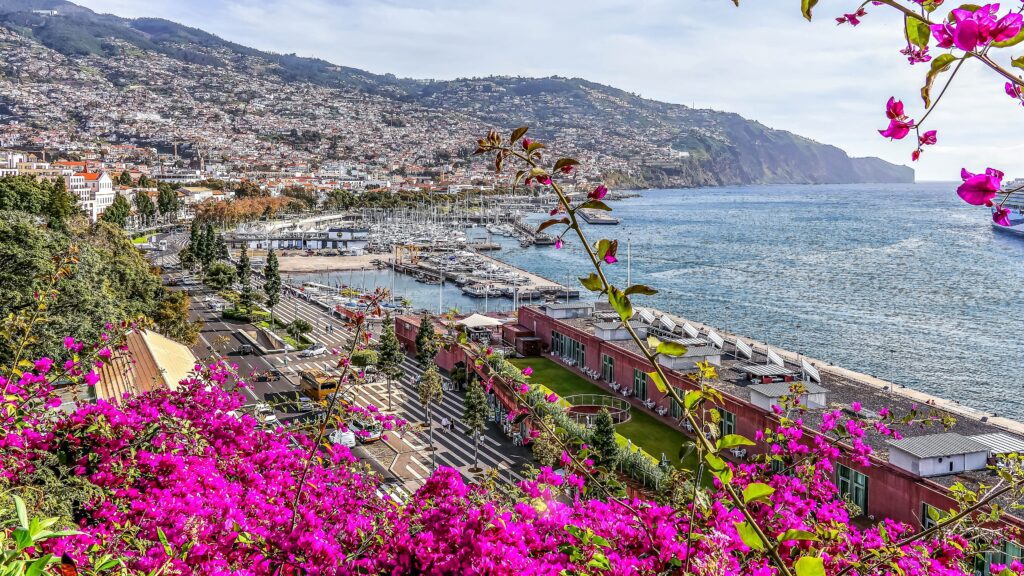 Madeira — Funchal harbor