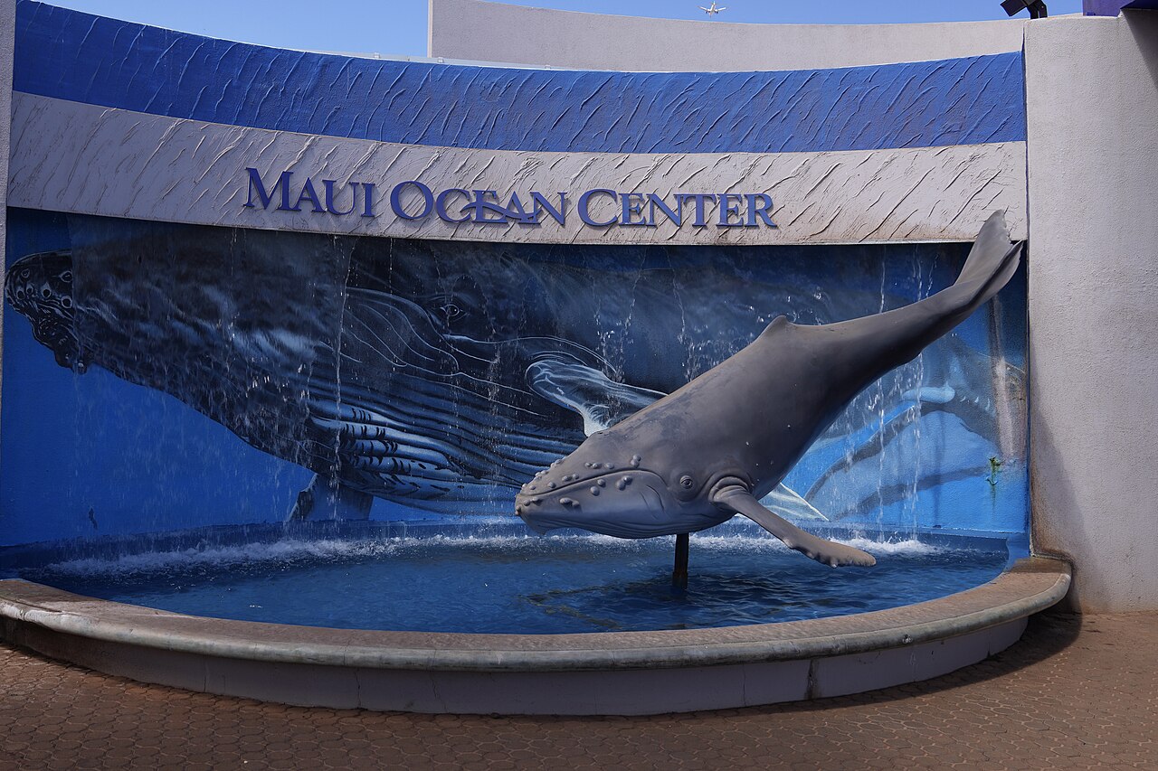 Ocean Activities in Maui