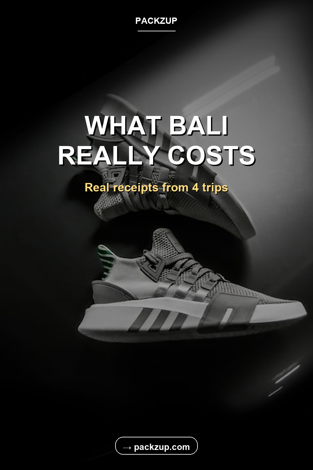 WHAT BALI
REALLY COSTS