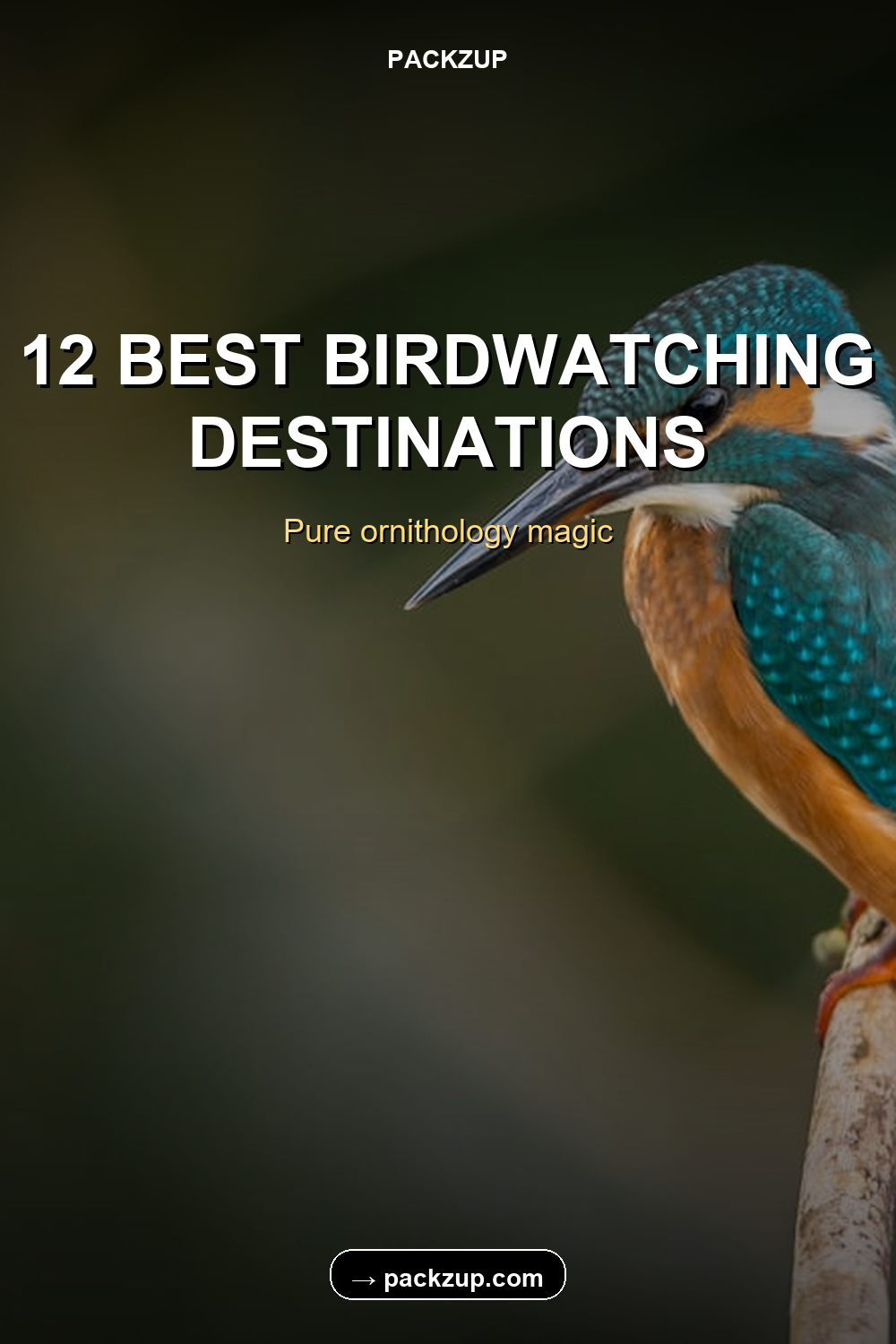 12 BEST BIRDWATCHING
DESTINATIONS