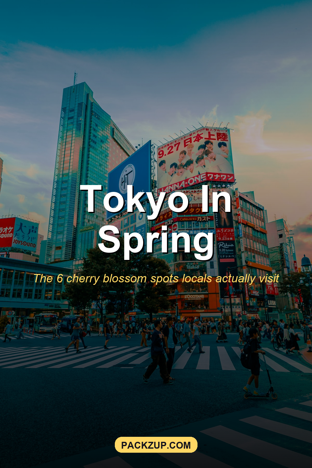Japan Cherry Tokyo