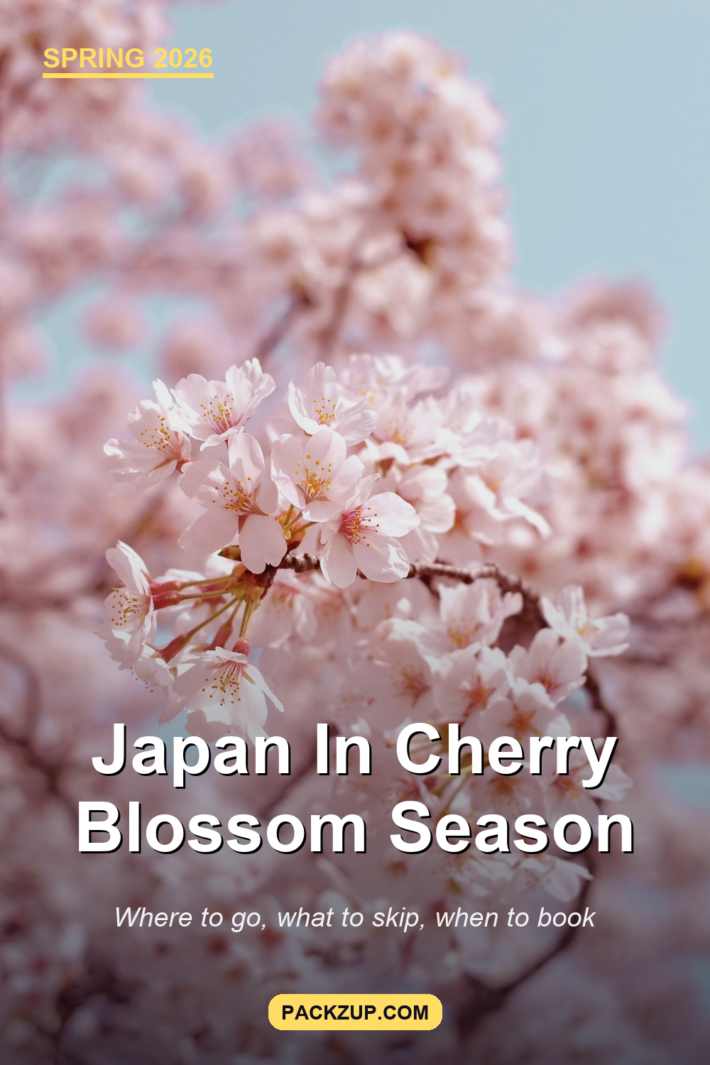Japan In Cherry Blossom Season