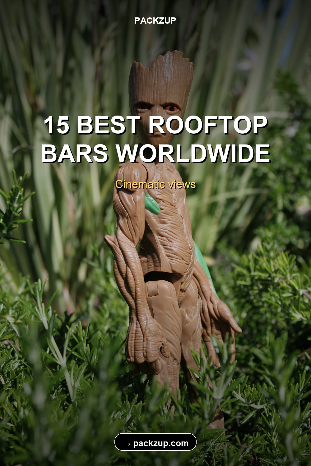 15 BEST ROOFTOP
BARS WORLDWIDE
