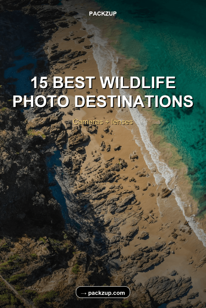 Pin Wildlife Photo