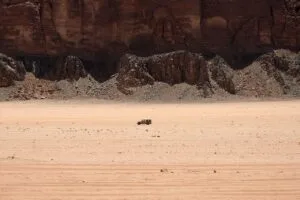 Best Time to Visit Jordan: Month-by-Month Guide