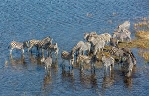 Best Places to Visit in November 2026: 10 Trips (Winter Sun & Dry-Season Asia)