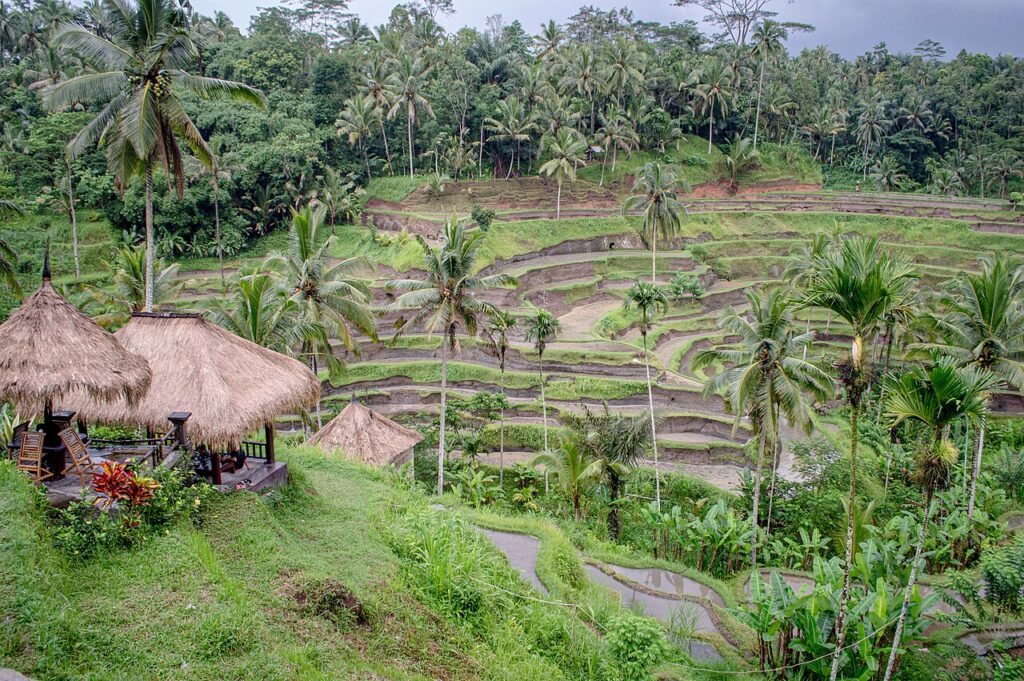 Monthly Best Places To Visit In January