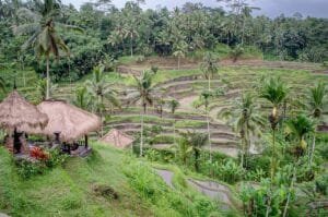 Best Places to Visit in January 2027: 10 Trips (Escape Winter in the Sun)