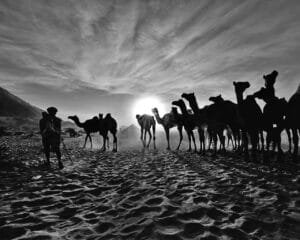 Best Places to Visit in November 2026: 12 Trips, Week by Week Through the Month