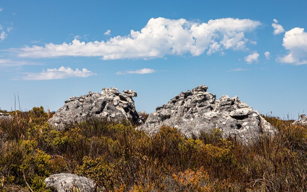 Things To Do In South Africa