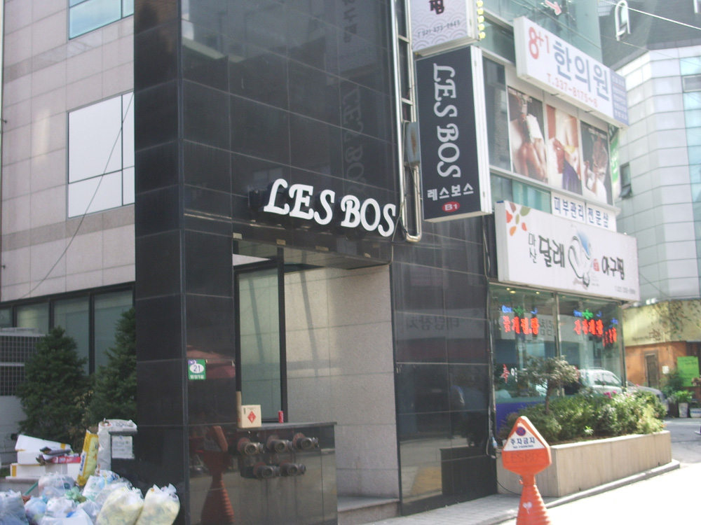 Nightlife and Late-Night Culture in Seoul