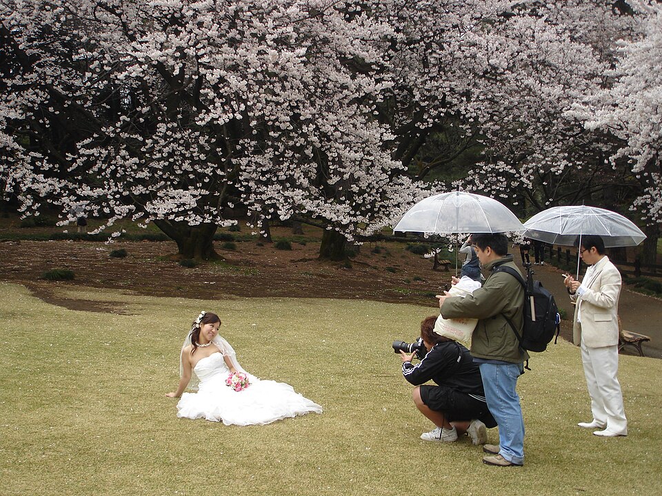 tokyo in april