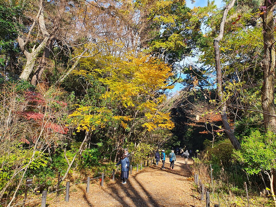 tokyo in october