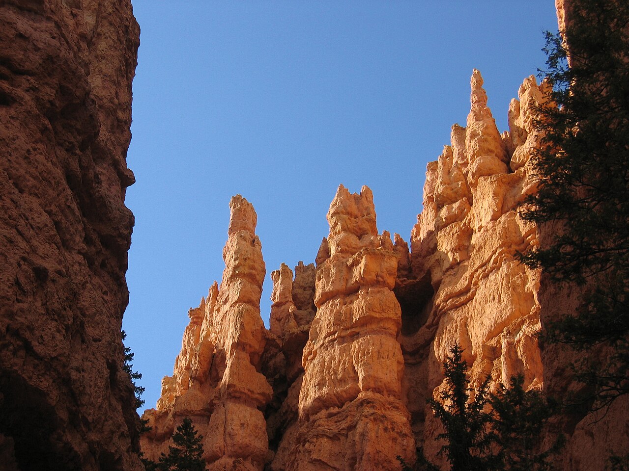 Bryce Canyon Pines Campground: Cozy Camping Near Bryce Canyon